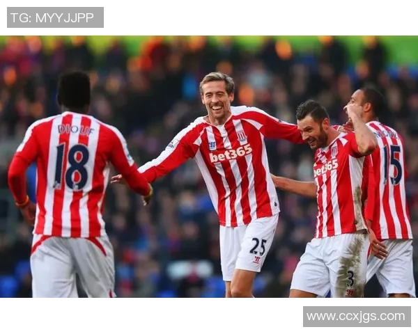 斯托克城迎战诺维奇展现英冠激烈对抗精彩瞬间