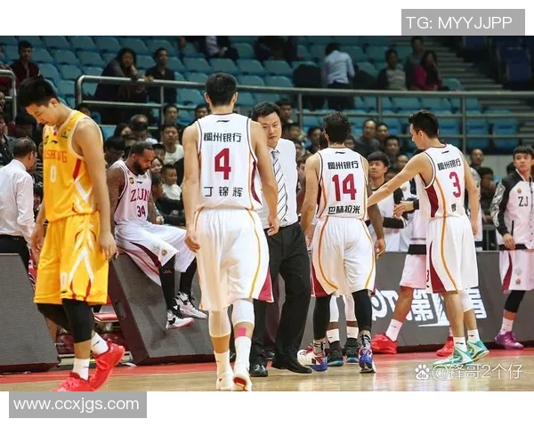 CBA精彩对决青岛队迎战浙江队双方全力争夺季后赛名额